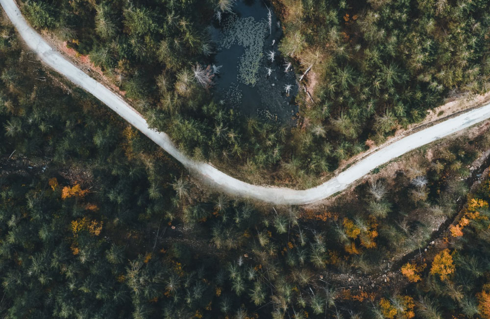 Il Mobility Management al servizio delle aziende e delle comunità